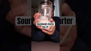 Day 2 sourdoughstarter [upl. by Ennagem935]