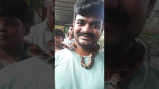 Kazhuthil snake 🐍 snake dangerous trending [upl. by Etti875]