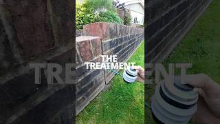 Antics 🐜 pestcontrol ants spray powder shorts [upl. by Snoddy]