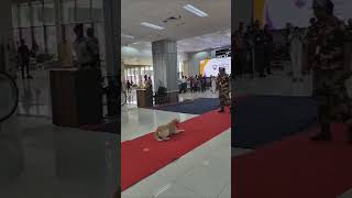 Airport bomb squad dog airport [upl. by Nnylsaj568]