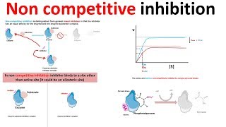 Enzyme Inhibition Competitive vs NonCompetitiveAllosteric [upl. by Papert]