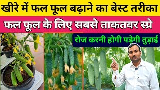 खीरे में फल फूल कैसे बढ़ाएं  खीरे में सबसे ताकतवर स्प्रेCocumber farming  khira ki kheti [upl. by Garlanda613]