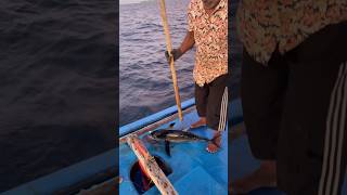 മീനിനെ ബോധം കെടുത്തിയത് കാണണോ shortsfeed malayalamfishing fishing malayalamfishingvideo fish [upl. by Eiznikcm299]