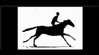 The Horse in Motion First Film of 1878 [upl. by Deeas]