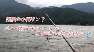 河口湖バス釣り〜6月22日爆風の小海ワンド編【河口湖バス釣り】 [upl. by Enahc]