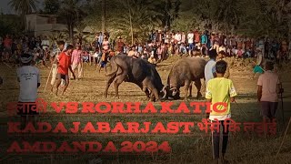 Tilaki vs Rorha Katic kada Jabarjast भैंसे कि मोकाबिला amdanda मैदान में 2024 2024 [upl. by Nelra]