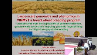 Large Scale Genomics and Phenomics in CIMMYTS Bread Wheat Breeding Program  Dr Philomin Juliana [upl. by Madelaine]