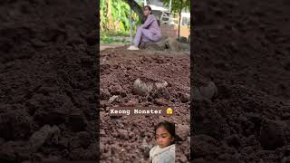 Keong monster menakuti wanita nature animals garden funny scary [upl. by Kenward63]