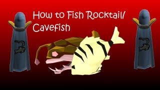 How to fish RocktailCavefish and a way to maximize xp [upl. by Krever]