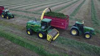 1ST CUT 2022WHYTE AGRIHOLOHAN AGRI VIDEOS [upl. by Wager]