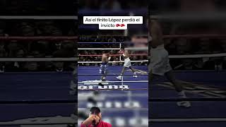 boxeo boxeomexicano el finito derribado [upl. by Ahsekam]