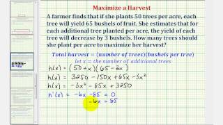 Ex Optimization  Maximized a Crop Yield Calculus Methods [upl. by Ahseinat]