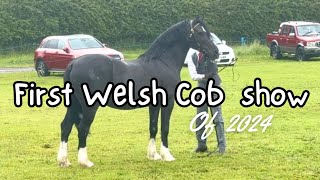 THE FIRST WELSH COB HORSE SHOW OF THE YEAR [upl. by Nayab]