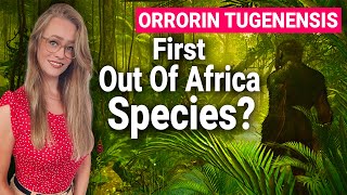 Orrorin Tugenensis Left Africa 6 Million Years Ago [upl. by Benito633]