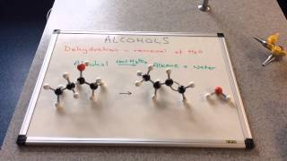 Dehydration of Alcohols [upl. by Suciram586]