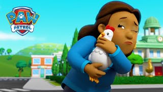 Das Huhn oder das Ei  PAW Patrol Germany  Cartoons für Kinder [upl. by Ammann]