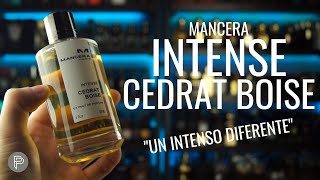 ¿ES DIFERENTE INTENSE CEDRAT BOISE  PP [upl. by Yenttihw]