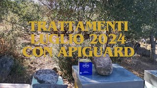 Trattamenti con Apiguard [upl. by Kcirad]