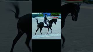 Olympics Paris 2024 dressage equestrian horseriding edit [upl. by Alue110]