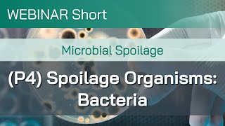 Webinar Short Microbial Spoilage Part 4 Spoilage Organisms – Bacteria [upl. by Chev]