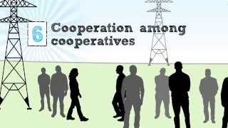 The Cooperative Business Model — The Seven Cooperative Principles [upl. by Vipul]