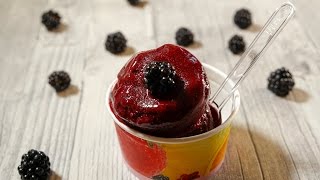 Brombeer Sorbet  Rezept und Anleitung  Natürlich Lecker [upl. by Kallick]