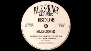 Niles Cooper  Never [upl. by Sllew]