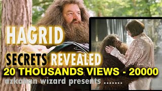 Hagrid Secret Released Mechanical Robot Real Hagrid Part 1 [upl. by Kina]