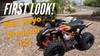 First Look 2021 Kayo Predator 125 Sport Quad  Review and Detailed Breakdown [upl. by Ahsinej]