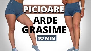 ARDE GRASIME DE PE PICIOARE  10 Minute Antrenament Pentru Picioare Acasa [upl. by Abihsot]