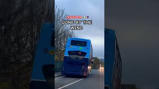 GONE BY THE WIND 🇮🇪🇵🇭 11112024 [upl. by Pirri]