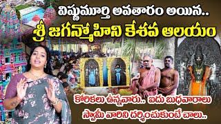 Sri Jaganmohini Kesava Swamy Temple Ryali Village  Temple Tour  Temple History  SumanTV Ahobilam [upl. by Annahsad]