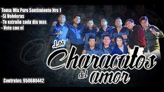 Characatos del Amor 2016  MIX PURO SENTIMIENTO NRO 1 PRIMICIA [upl. by Marlea1]