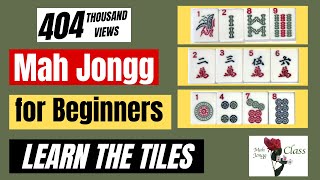 MAH JONGG for Beginners 11  American  Learning the Tiles NMJL Lessons How to Play Mahj [upl. by Sivartal250]