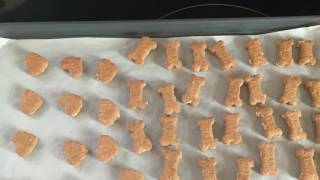 DIY Peanut Butter Oat Dog Treats [upl. by Ttennaj]