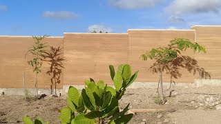 Rammed Earth Fence  Brazil architecture construction diy fence landscapedesign construção [upl. by Enymzaj]