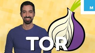 What is Tor and Should You Use It  Mashable Explains [upl. by Nhguaval]