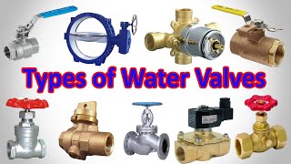 Types of Water Valves  Plumbing Valve Types [upl. by Rialc]