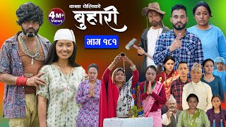 बुहारी भाग  १८१  BUHARI Episode 181  कथा चेलीकाे  Nepali Sentimental Serial  21st June 2024 [upl. by Ycnalc320]