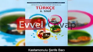 Kastamonulu Şerife Bacı Metni Cevapları 6 Sınıf Türkçe [upl. by Romilly]