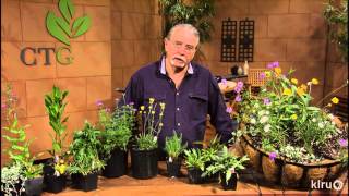 Native plant hanging baskets John Dromgoole Central Texas Gardener [upl. by Notserk503]