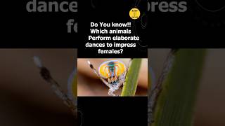 Animals Dancing to Impress the Mate  Interesting Facts  161 [upl. by Devondra]