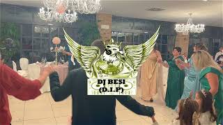 Ditelindja e ARYA  DJ BESI DIP POGONISHTE [upl. by Meehahs]