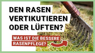 Den Rasen vertikutieren oder lüften – Was ist genau der Unterschied [upl. by Eugatnom]