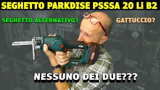 Seghetto PARKSIDE Lidl PSSSA 20 Li B2 ALTERNATIVO O GATTUCCIO O NESSUNO DEI DUE [upl. by Hambley]