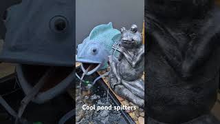 Cool pond spitters frog pondspitter waterfeatures [upl. by Ikcir]