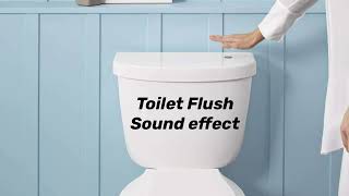 Toilet Flush Sound Effect [upl. by Notxam579]