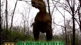 Mesozoic Idol at Brookfield Zoo  Dilophosaurus Week 1 [upl. by Eiliak]