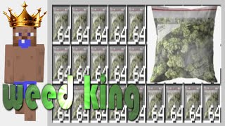 i became the weed king hypixel pit [upl. by Odirfliw]