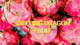 1013 Ls  CUTTING DRAGON FRUITS screen cast Dikitan Lapagan [upl. by Ahsienod]